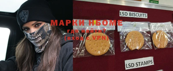 гашик Зеленокумск