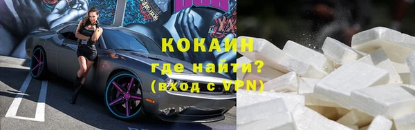 гашик Зеленокумск