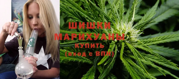 гашик Зеленокумск