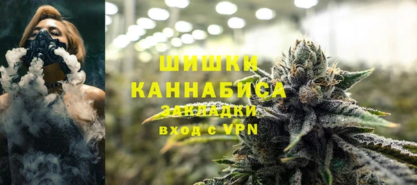 гашик Зеленокумск