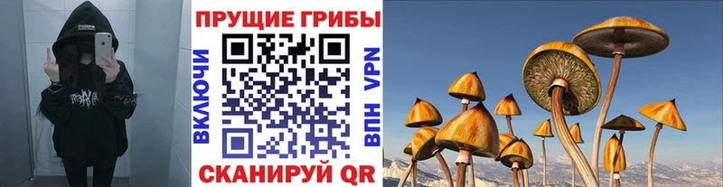 MEGA сайт  купить наркоту  Урай  Галлюциногенные грибы мицелий 