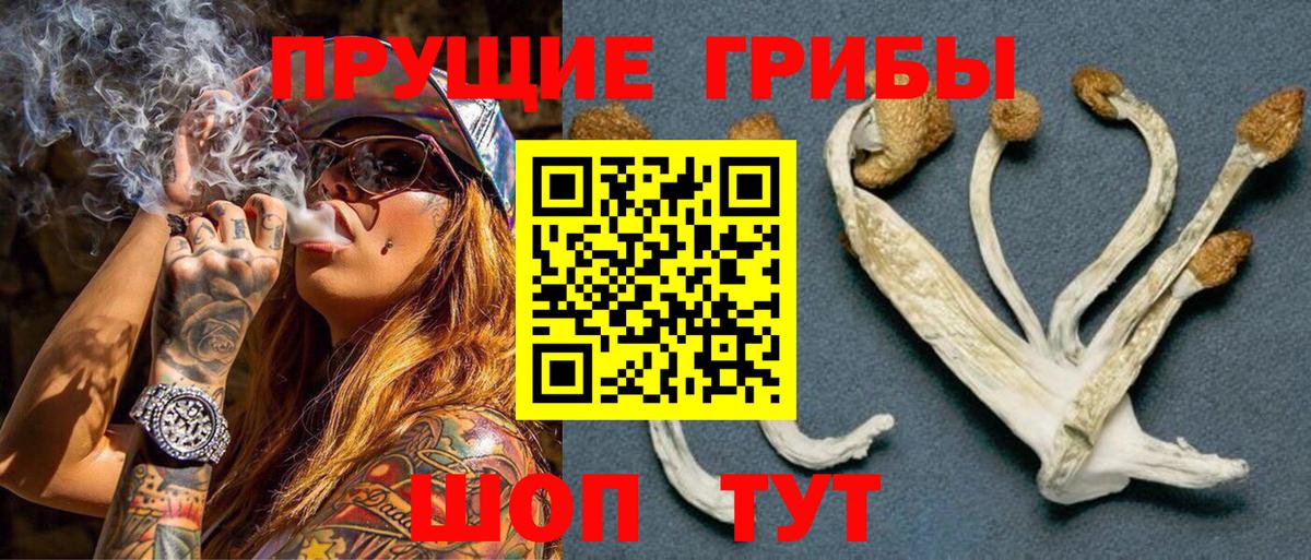 Урай  Псилоцибиновые грибы мицелий  Вход с VPN 